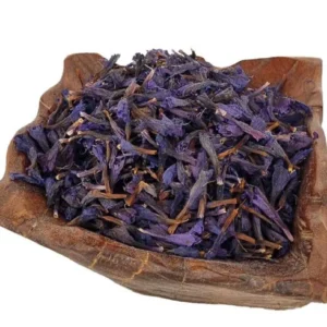 گل گاوزبان ممتاز کد 1015(SR)